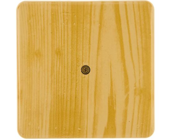 Распаячная коробка ЭРА 100х100х30 без клеммы сосна IP40 Б0031182 – изображение 4