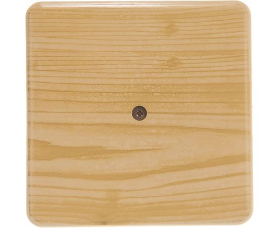 Распаячная коробка ЭРА 100х100х30 без клеммы сосна IP40 Б0031182 – изображение 7