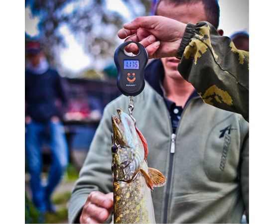 Электронные весы безмен REXANT до 50 кг 72-1100 – изображение 3