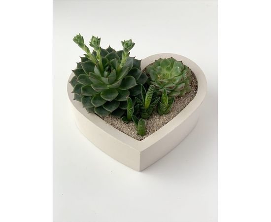 Кашпо для цветов VILLERMO СЕРДЦЕ G_039 