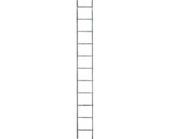 Односекционная лестница Gigant L-01 1х11 (Россия) 