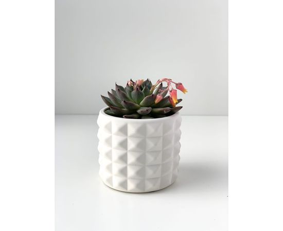 Кашпо для цветов VILLERMO КОЛЮЧКА MINI G_020 