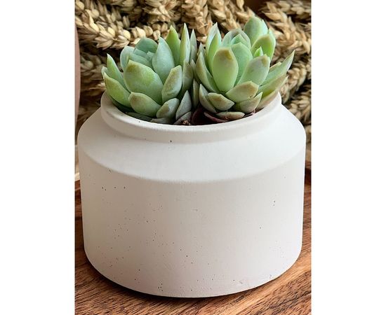 Кашпо для цветов VILLERMO БИДОН mini G_044 