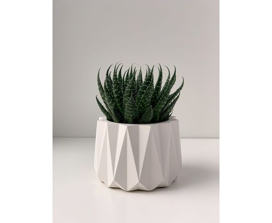 Кашпо для цветов VILLERMO АСТРА MINI G_008 