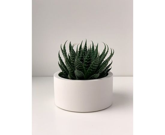 Кашпо для цветов VILLERMO MINI G_005 