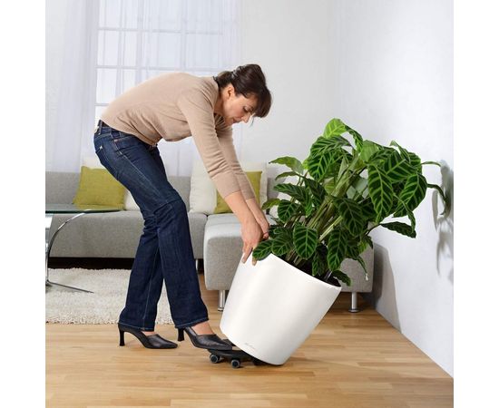 Подставка на колесах для кашпо LECHUZA Coaster 60 13503 – изображение 2