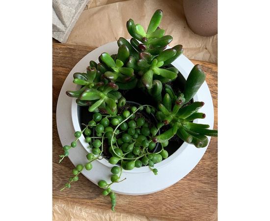 Кашпо для цветов VILLERMO БИДОН BIG G_052 – изображение 2