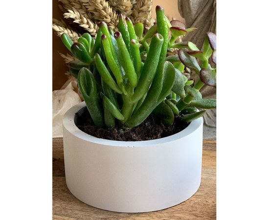 Кашпо для цветов VILLERMO MINI G_005 – изображение 3