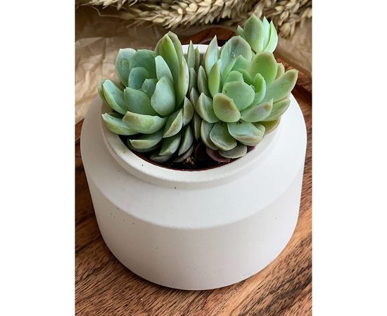 Кашпо для цветов VILLERMO БИДОН mini G_044 – изображение 2