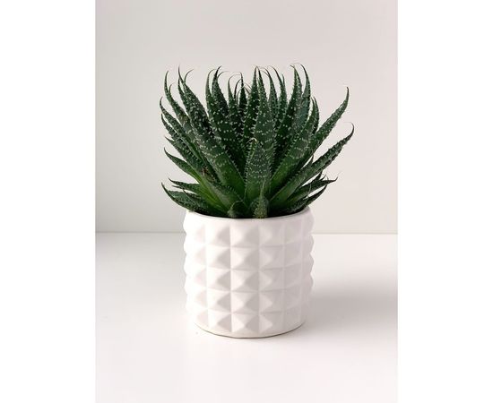 Кашпо для цветов VILLERMO КОЛЮЧКА MINI G_020 – изображение 2