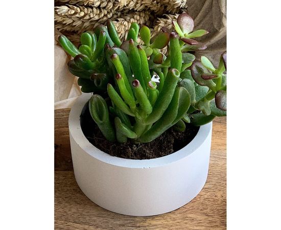 Кашпо для цветов VILLERMO MINI G_005 – изображение 2