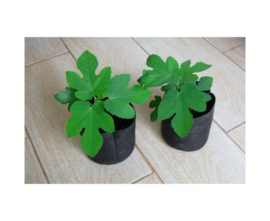 Садовый контейнер BAGPOT 5 л 153288 – изображение 2