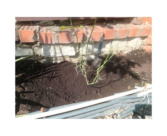 Укрытие для роз Удачный сезон Зимний домик 100 см 1001 – изображение 4