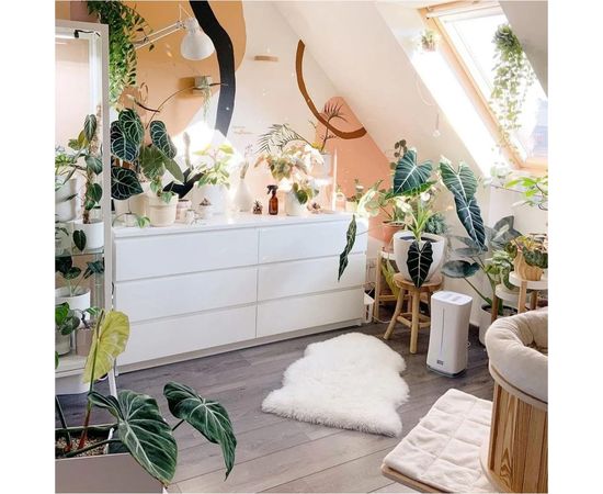 Ультразвуковой увлажнитель воздуха Stadler Form Eva WiFi white E-008 – изображение 11