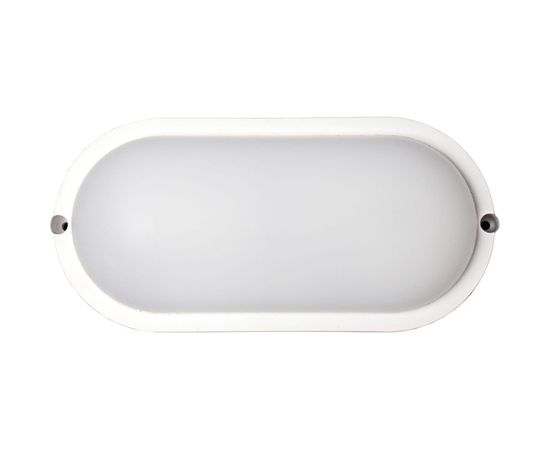 Банник LightPhenomenON LT-LBWP-01-IP65-12W-6500К LED овальный Е1601-0002 