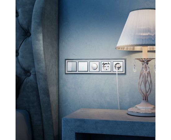 Одноклавишный выключатель WERKEL, W1110106, с подсветкой, серебряный a051512 – изображение 2