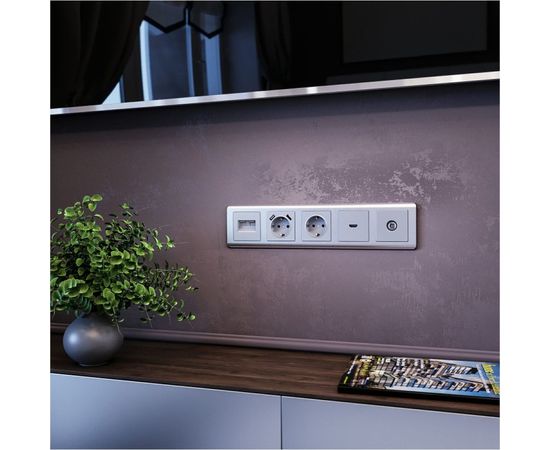 ТВ-розетка WERKEL WL06-TV оконечная серебряный a029836 – изображение 2