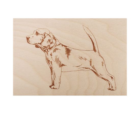 Доски для выжигания REXANT «Набор № 1 формат А5» 12-0936 – изображение 6