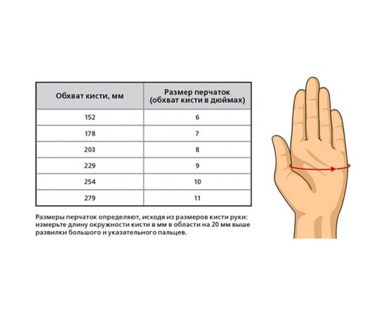 Перчатки CERVA ВИРДИС материал латекс, р.7 1002940-7 – изображение 2