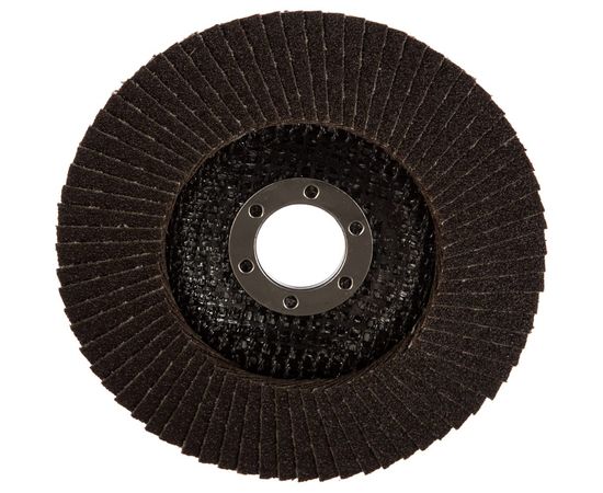 Круг лепестковый (125x22.2 мм; P100) Gigant G-11038 – изображение 3