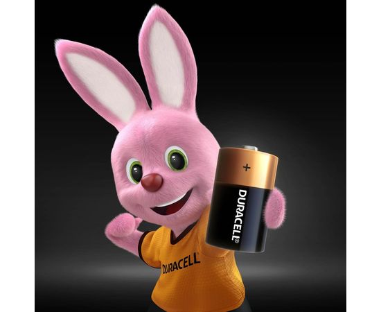 Элемент питания Duracell LR14-2BL 2шт Б0014054 – изображение 6