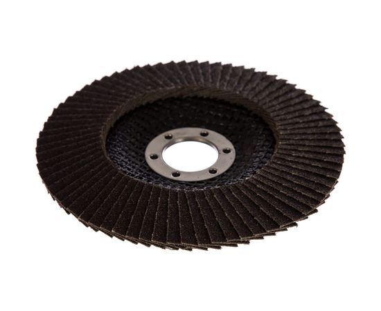 Круг лепестковый (125x22.2 мм; P100) Gigant G-11038 – изображение 2