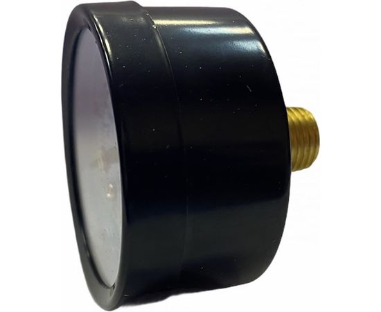 Манометр для компрессора 50 мм 1/4 Pegas pneumatic 4802 – изображение 2