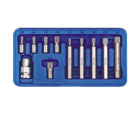 Набор бит SPLINE (11 шт, М5-М12) в пластиковом боксе VOREL 66770 