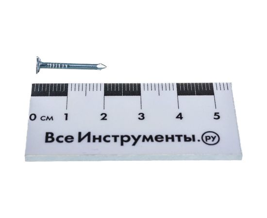 Толевый оцинкованный гвоздь евро Tech-Krep 2.0х20, 100г, пакет 128312 – изображение 2