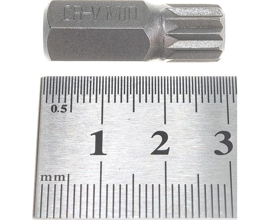 Набор бит SPLINE (11 шт, М5-М12) в пластиковом боксе VOREL 66770 – изображение 2