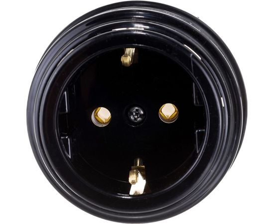 Розетка Bylectrica РА16-0202 1-местная с заз. контакт. 16А ОУ, серия РЕТРО, черный – изображение 5