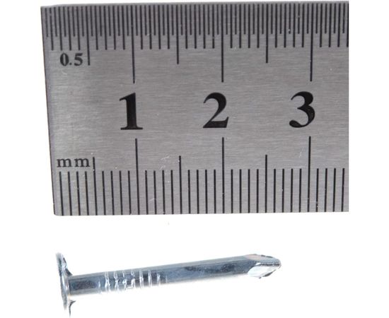 Гвозди с большой головкой МТК цинк пакет 0,5 кг, 3,0x25 1762030025 – изображение 4