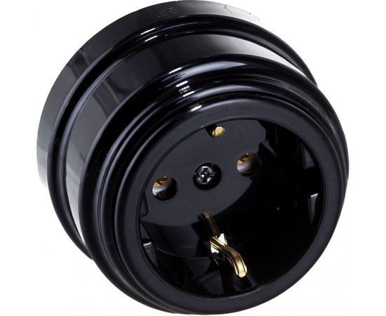 Розетка Bylectrica РА16-0202 1-местная с заз. контакт. 16А ОУ, серия РЕТРО, черный – изображение 2