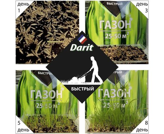 Газон DARIT Быстрый 900 г 115633 – изображение 2