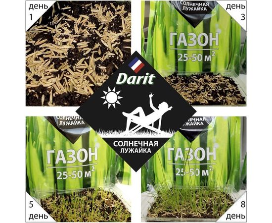 Газон DARIT Солнечная лужайка 900 г 115635 – изображение 2