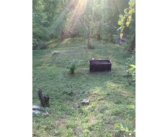 Триммер Champion Т433-2 – изображение 12