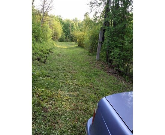 Триммер Champion Т433-2 – изображение 13