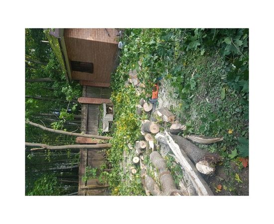 Электрическая пила DAEWOO DACS2700E – изображение 7