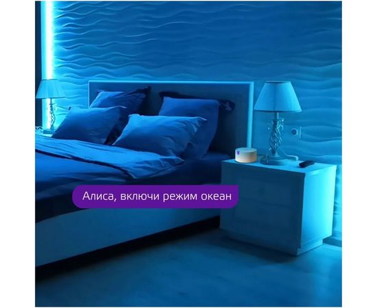Светодиодная лента Gauss, Smart Home RGBW тип CCT+DIM 5м 1/20 5020122 – изображение 9