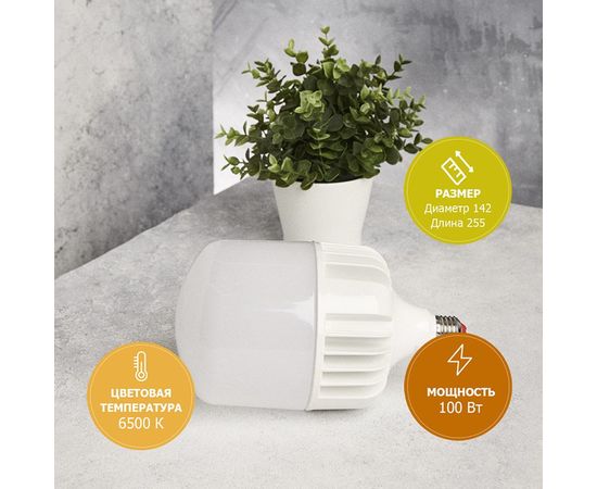 Светодиодная высокомощная лампа REXANT 100 Вт, E27, с переходником, E40, 9500 Лм, 6500K, холодный свет 604-072 – изображение 4