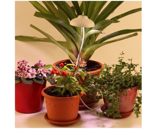 Штыковой светильник полного спектра ЭРА FITO12WFLED 20/800 Б0039068 – изображение 2