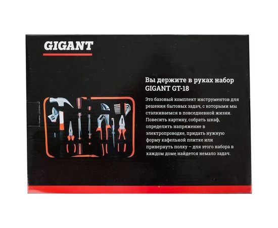 Набор инструментов 18шт Gigant GT-18 – изображение 2