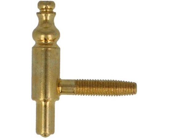 Петля Amig покр. латунь 6863 