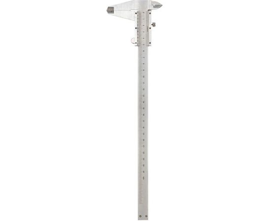 Штангенциркуль REXANT ШЦ - 250 мм 12-9102 