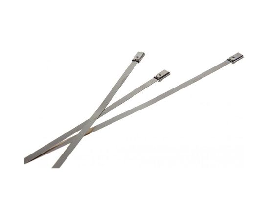 Стальной хомут REXANT 4.6x300 50 шт 07-0308 – изображение 2