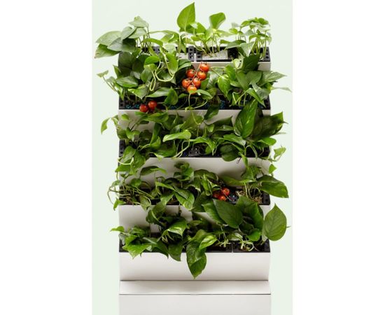 Автономная система озеленения Green Helper GWA-20Wi-Fi 