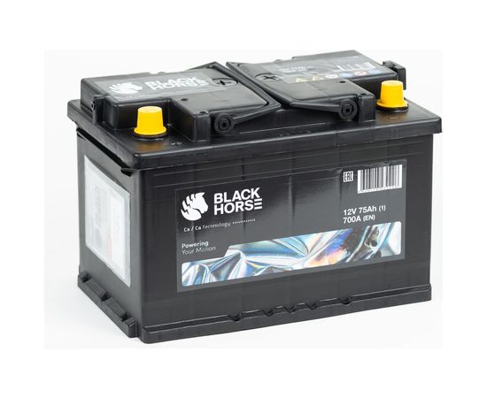 Аккумуляторная батарея Black Horse 12V 75.1 BH 75 (1) 