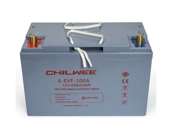 Батарея аккумуляторная тяговая CHILWEE 6-EVF-100A 