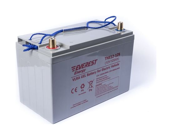 EVEREST Energy Тяговые аккумуляторные батареи TNE 12-125 