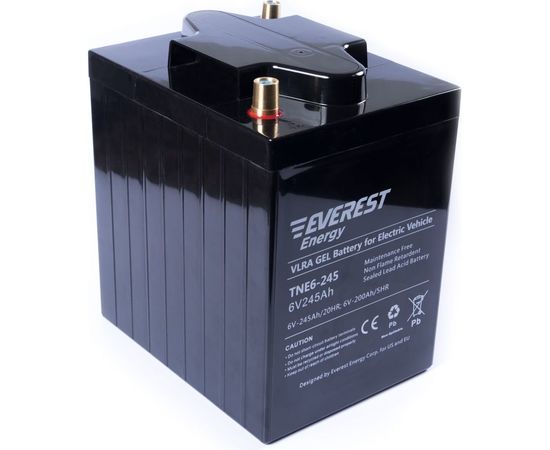 Тяговая аккумуляторная батарея EVEREST Energy TNE 6-245 